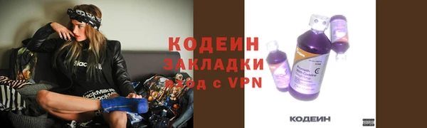 ГАЛЛЮЦИНОГЕННЫЕ ГРИБЫ Костерёво