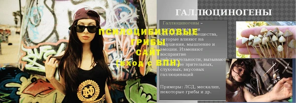 шишки Верхнеуральск