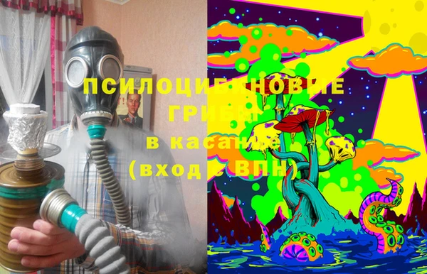 МДПВ Волосово